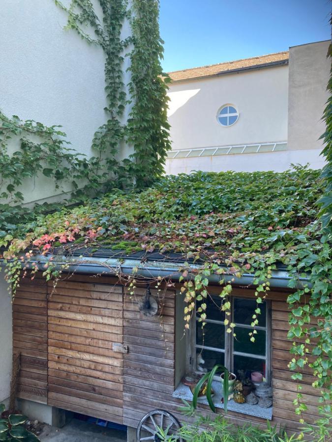 Pension Sunnseitn - Gasthof - Cafe - Weinkeller Haslach an der Muhl Exterior photo